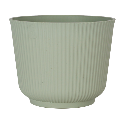 【THEAIRTOWN】 central tree cotton pt ★2color CTi Living